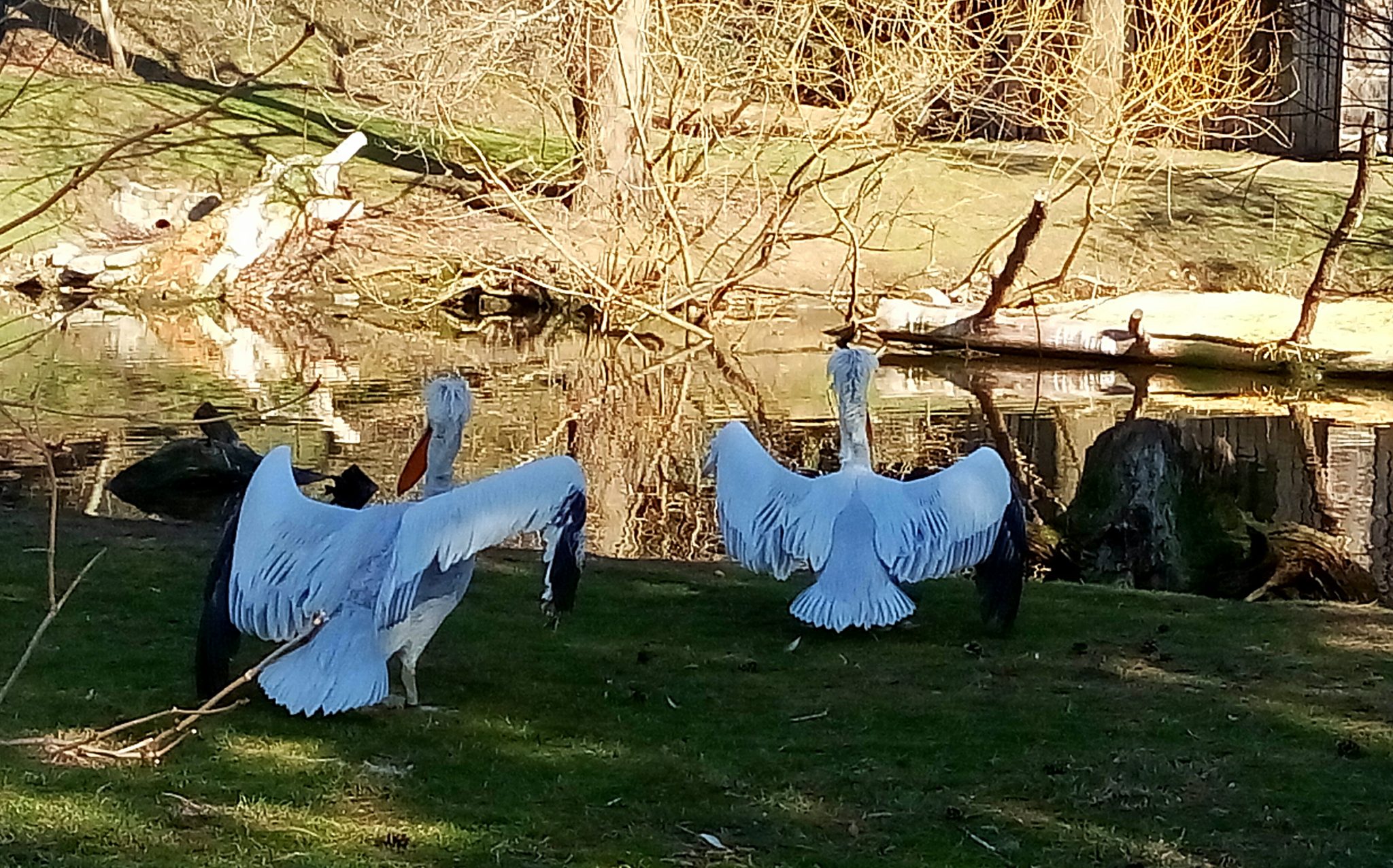 Návšteva v pražskej ZOO